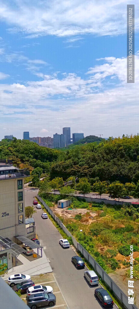 城市道路旁的多彩绿化带