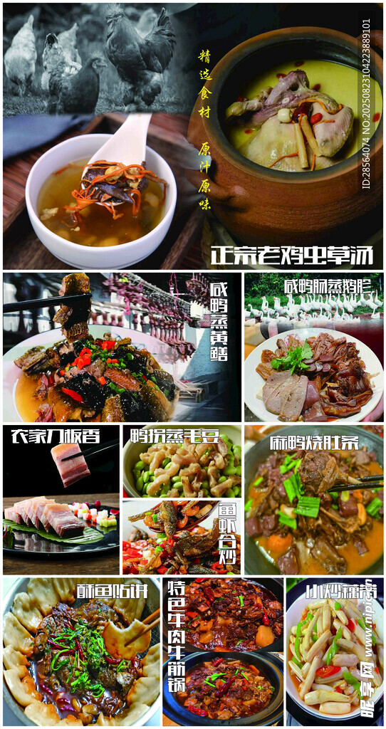 多样中式美食拼盘展示