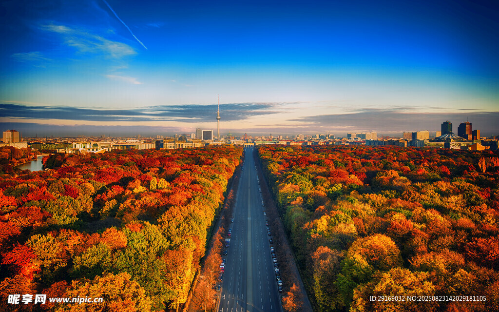秋日斑斓公路风景