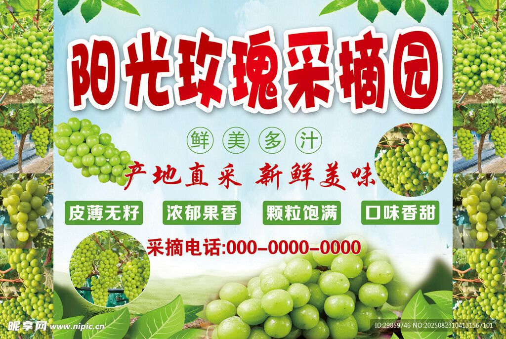 阳光玫瑰采摘园宣传海报