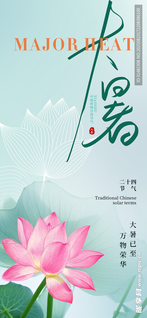 夏日荷花图