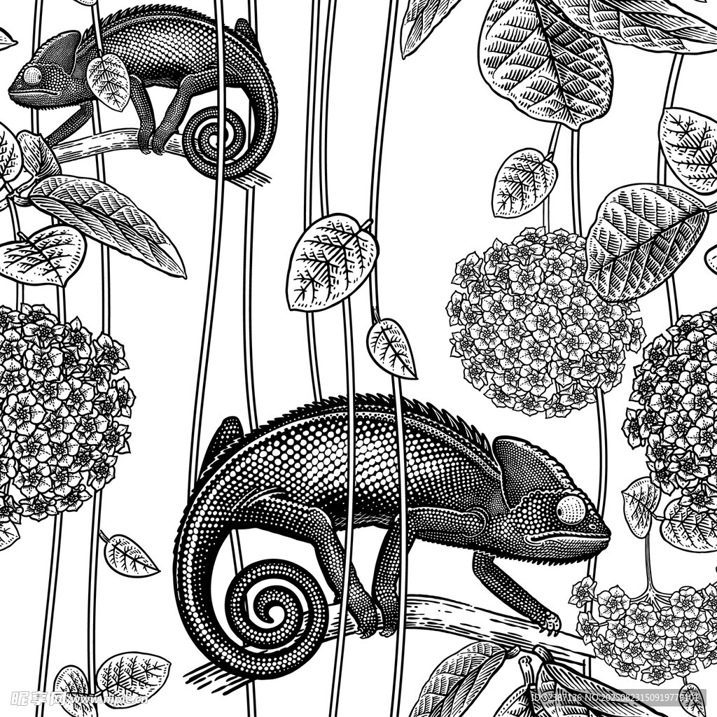 黑白插画中的变色龙与植物