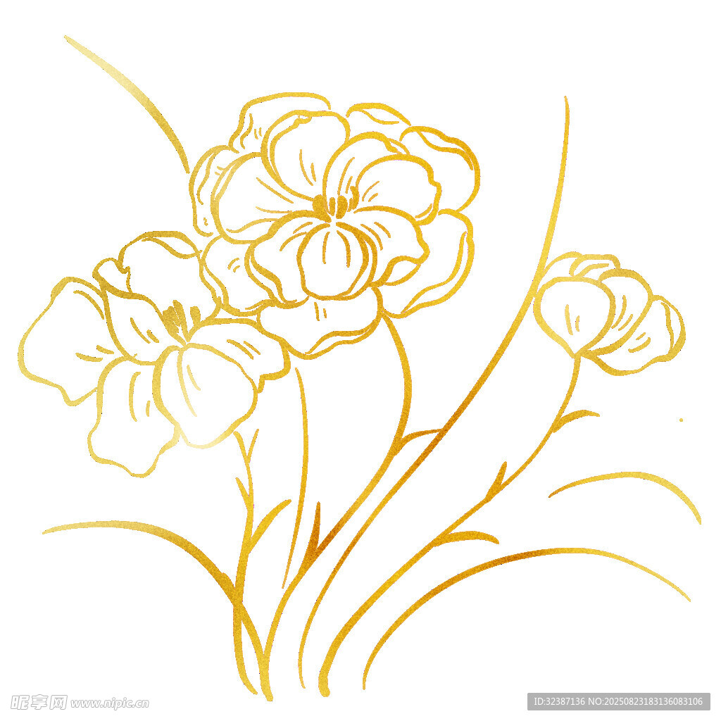 金色花卉线条插画