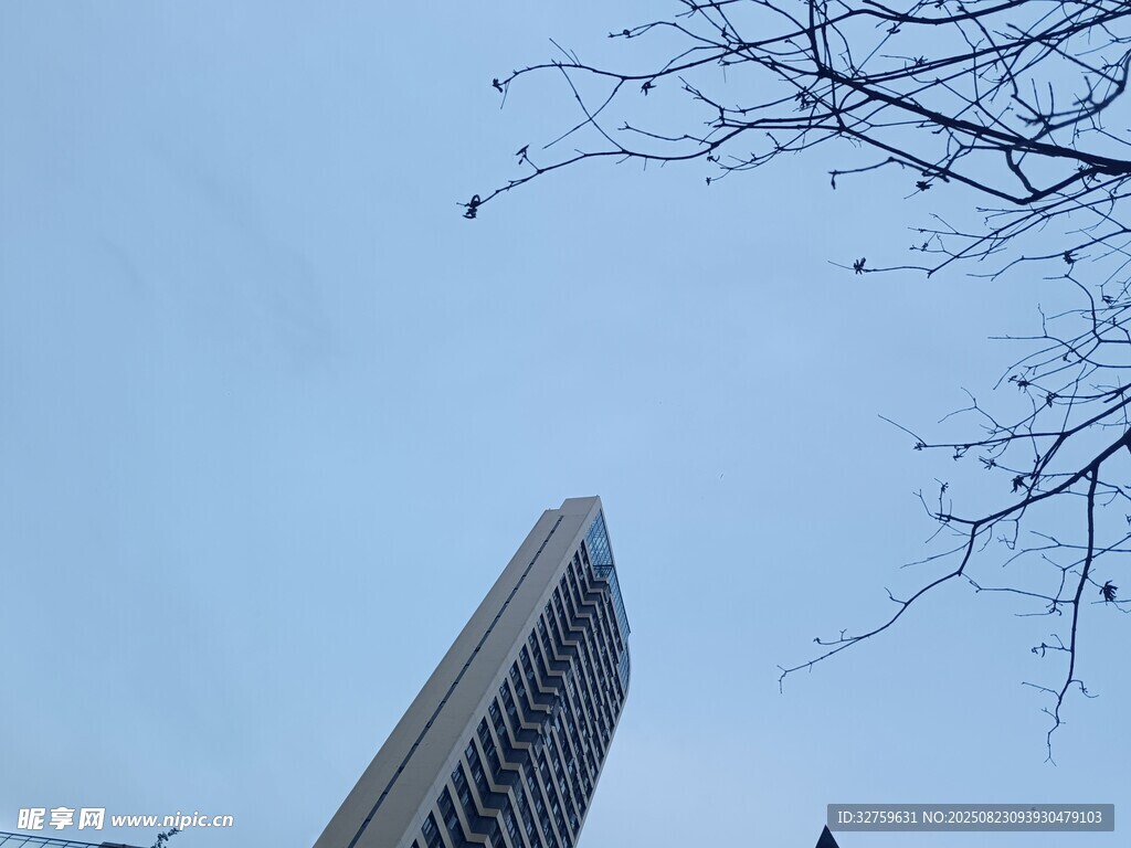 仰视高楼与光秃树枝