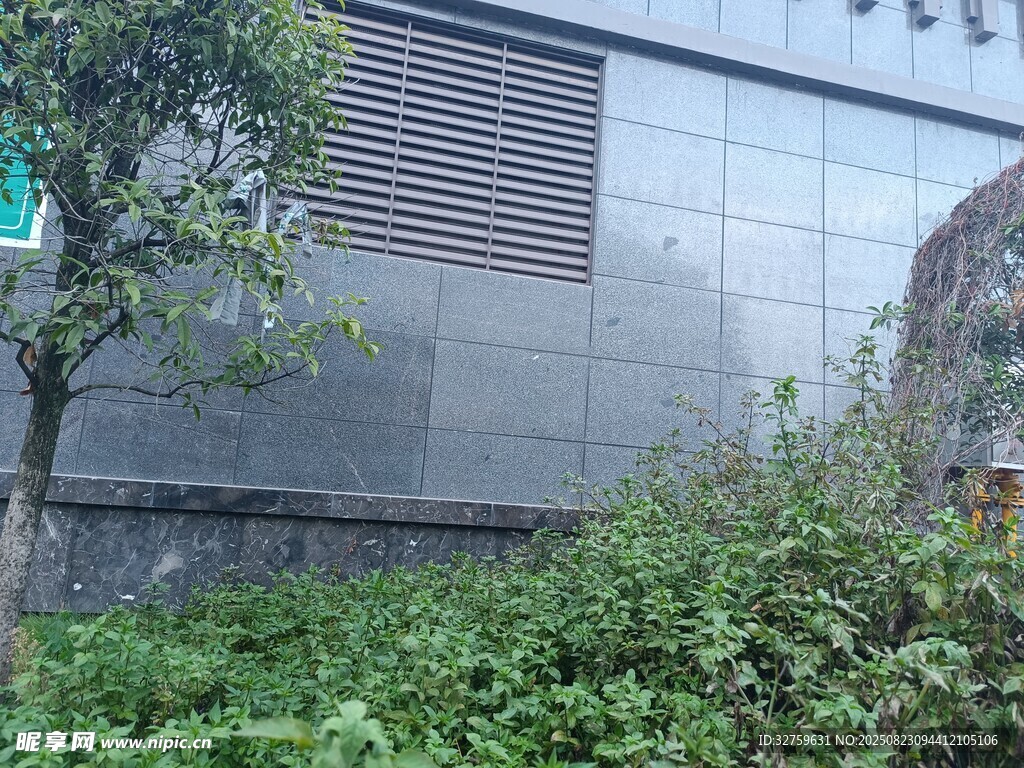 建筑旁的绿植景观