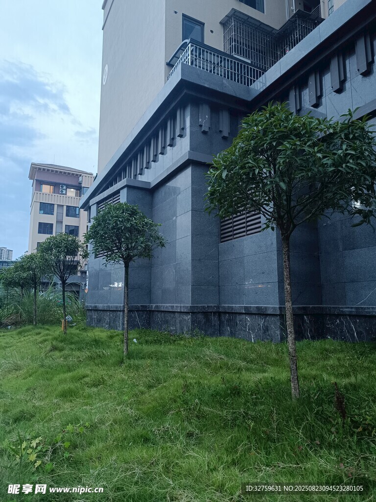 楼前草地与小树景观