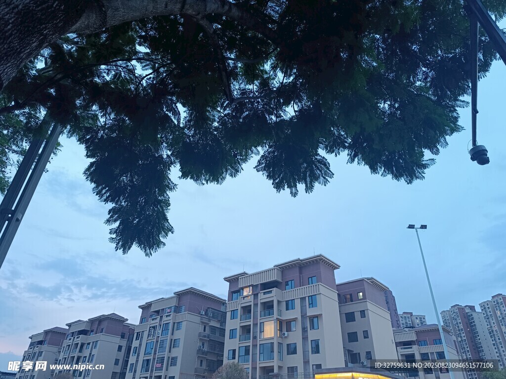 城市住宅区的绿树与建筑