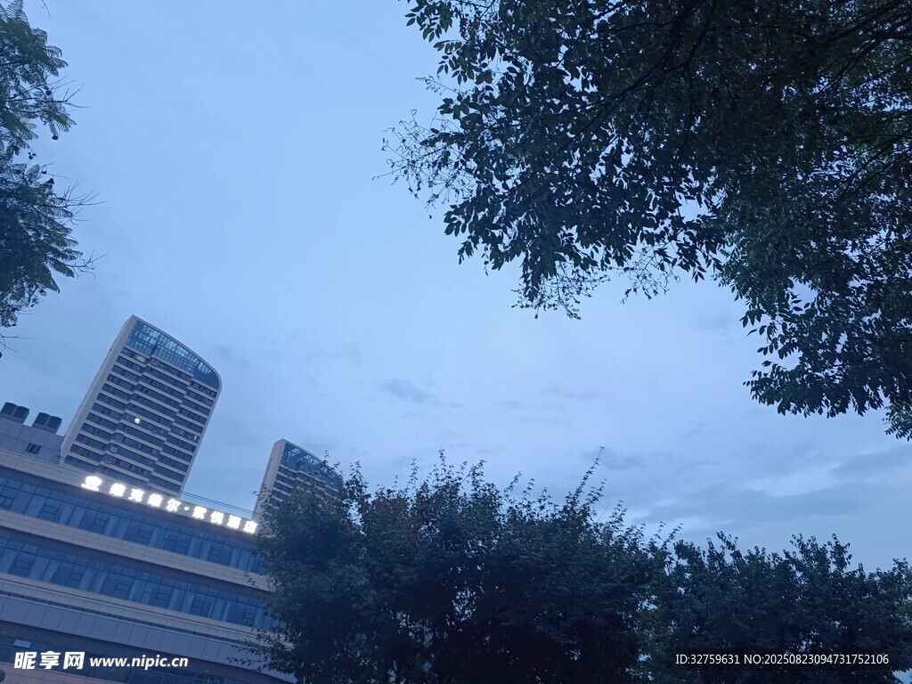 夜幕下的城市与绿植景观