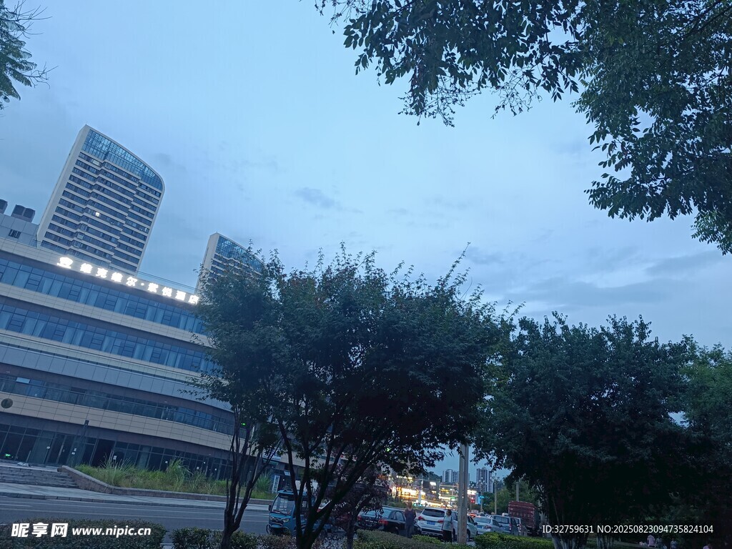 城市楼宇间的绿树景观