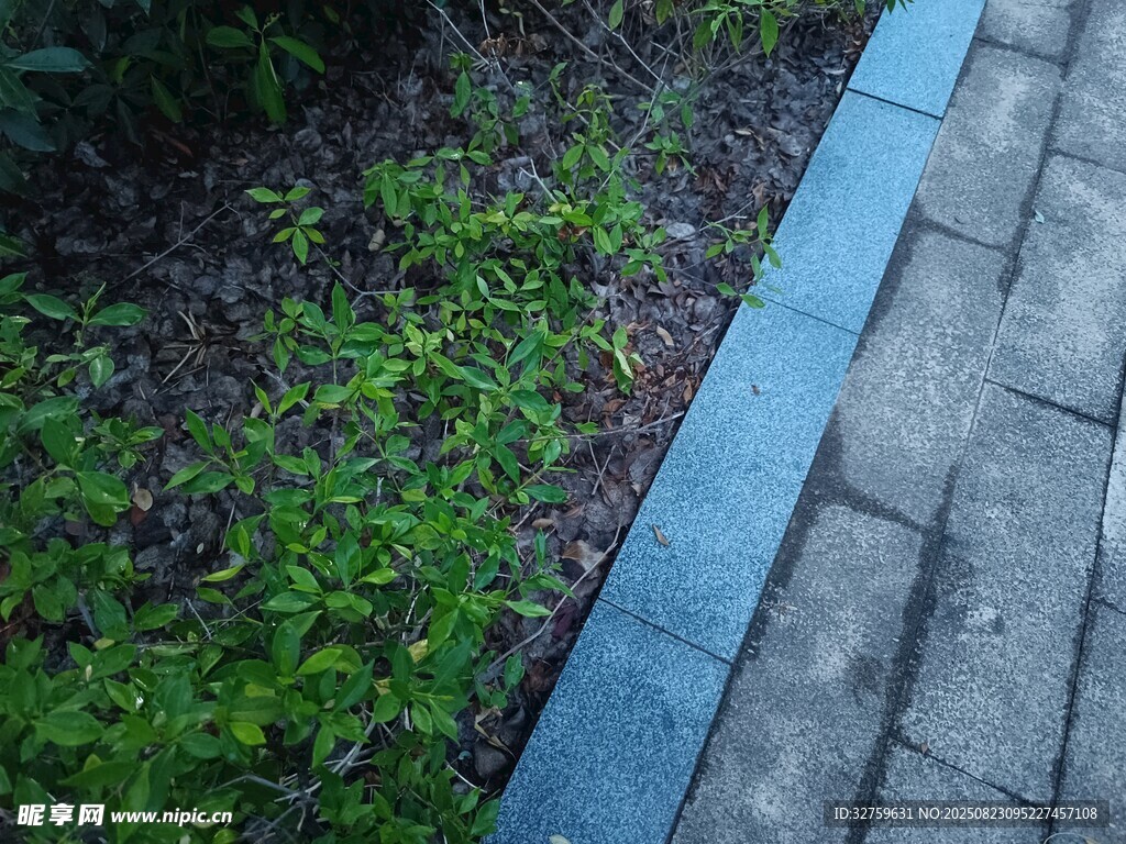 路边绿植与砖石步道景观