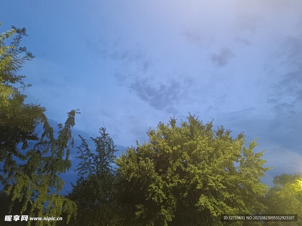 蓝天绿树的清新景致