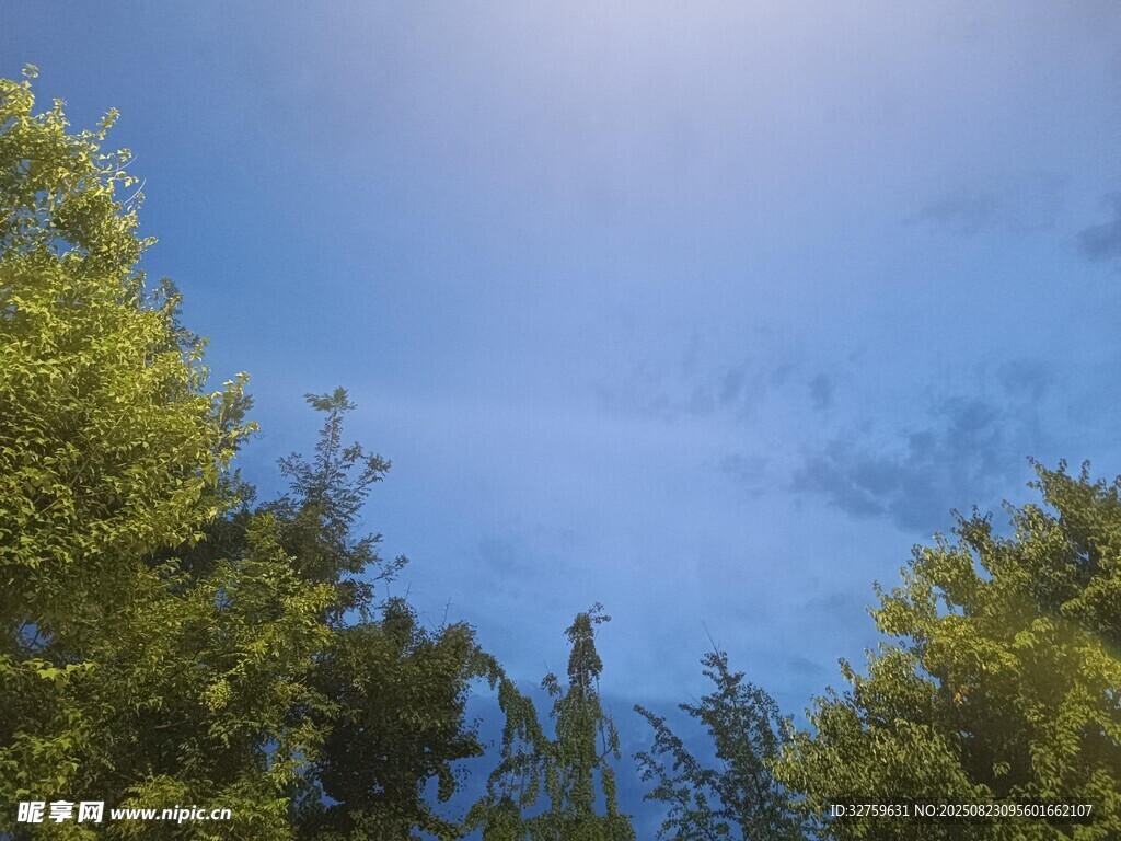 林间蓝天