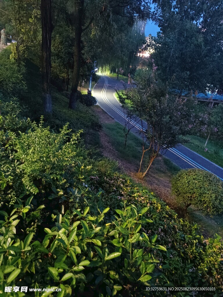 林间小道