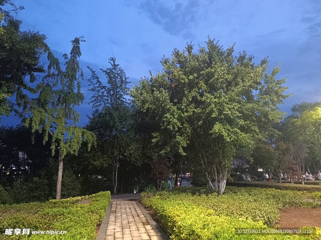 夜幕下的公园幽静小道