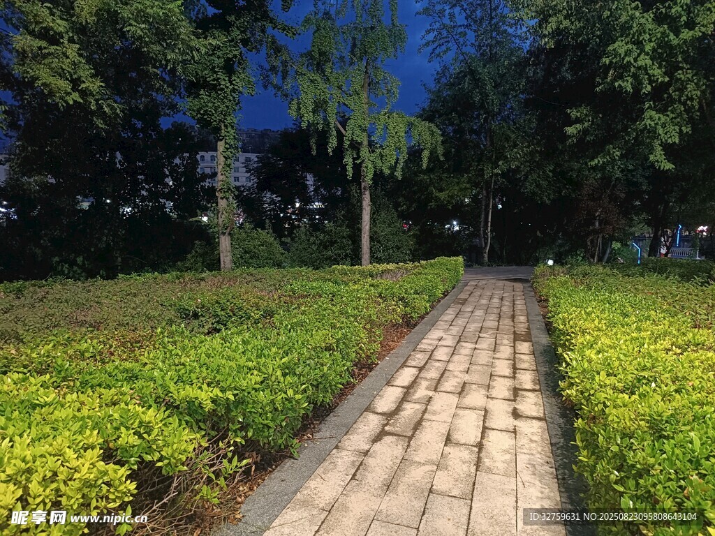 公园石板小径绿植环绕
