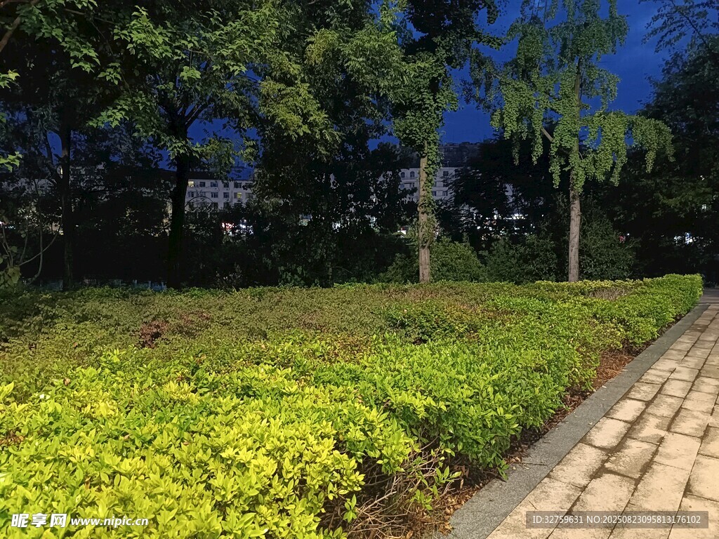 公园绿植小径景观