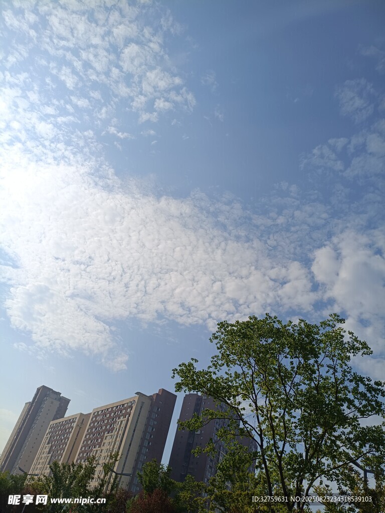 蓝天白云下的城市建筑