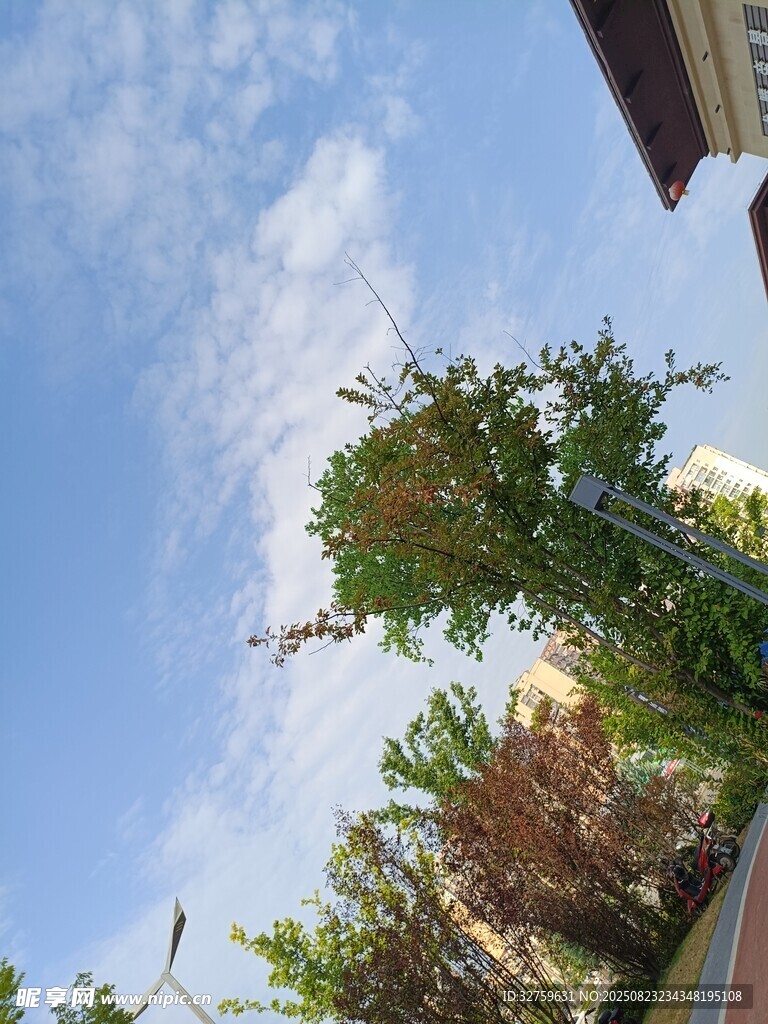 蓝天绿树风景