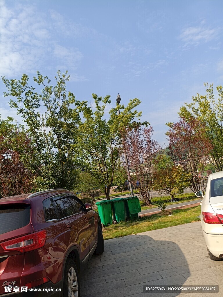 户外停车处的绿树与车辆