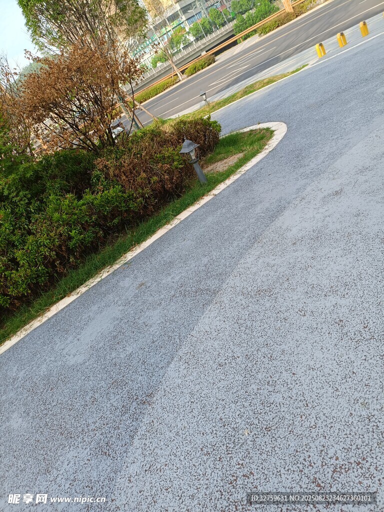 道路旁的绿植景观