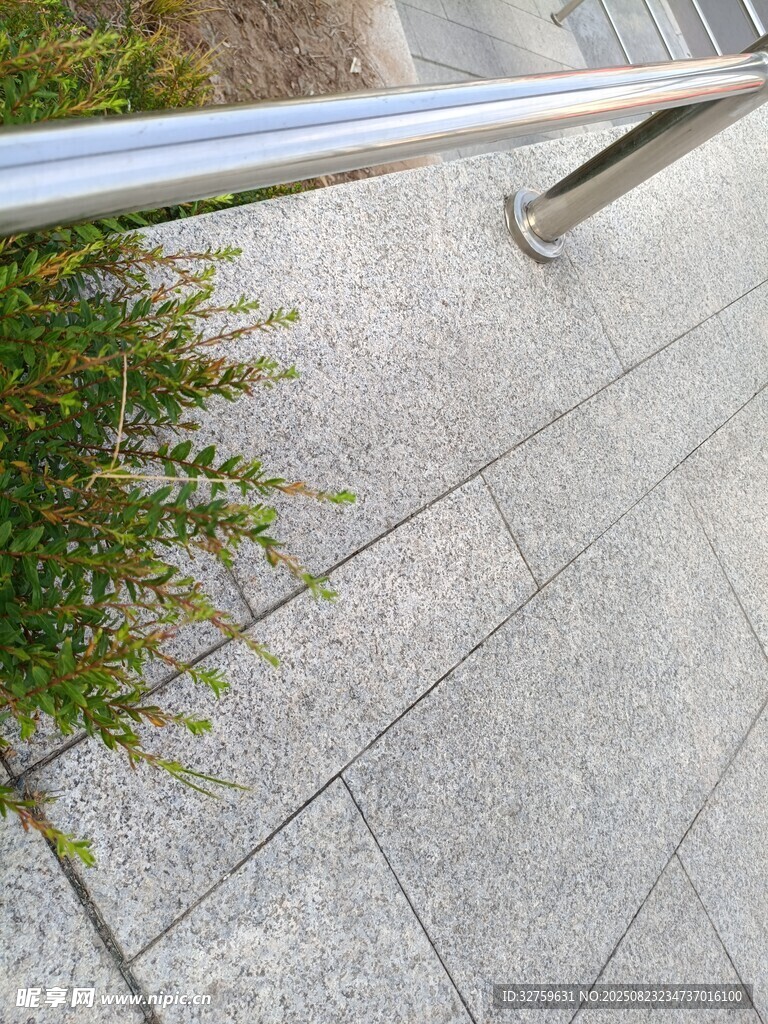 路边金属栏杆旁的绿植