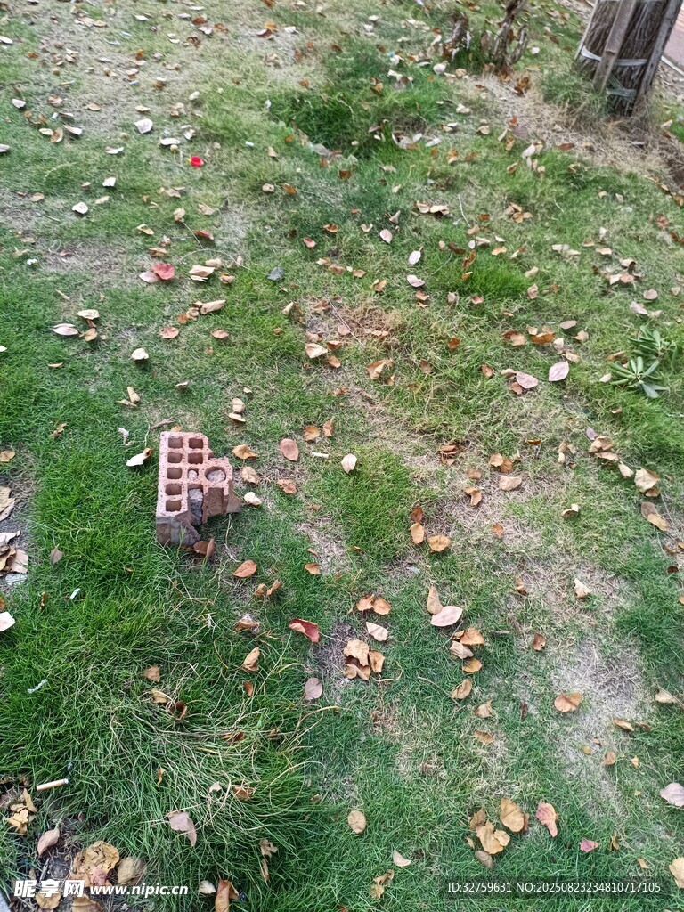 草地上的红色物件
