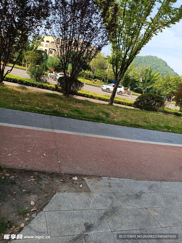 公园中的道路与绿植景观