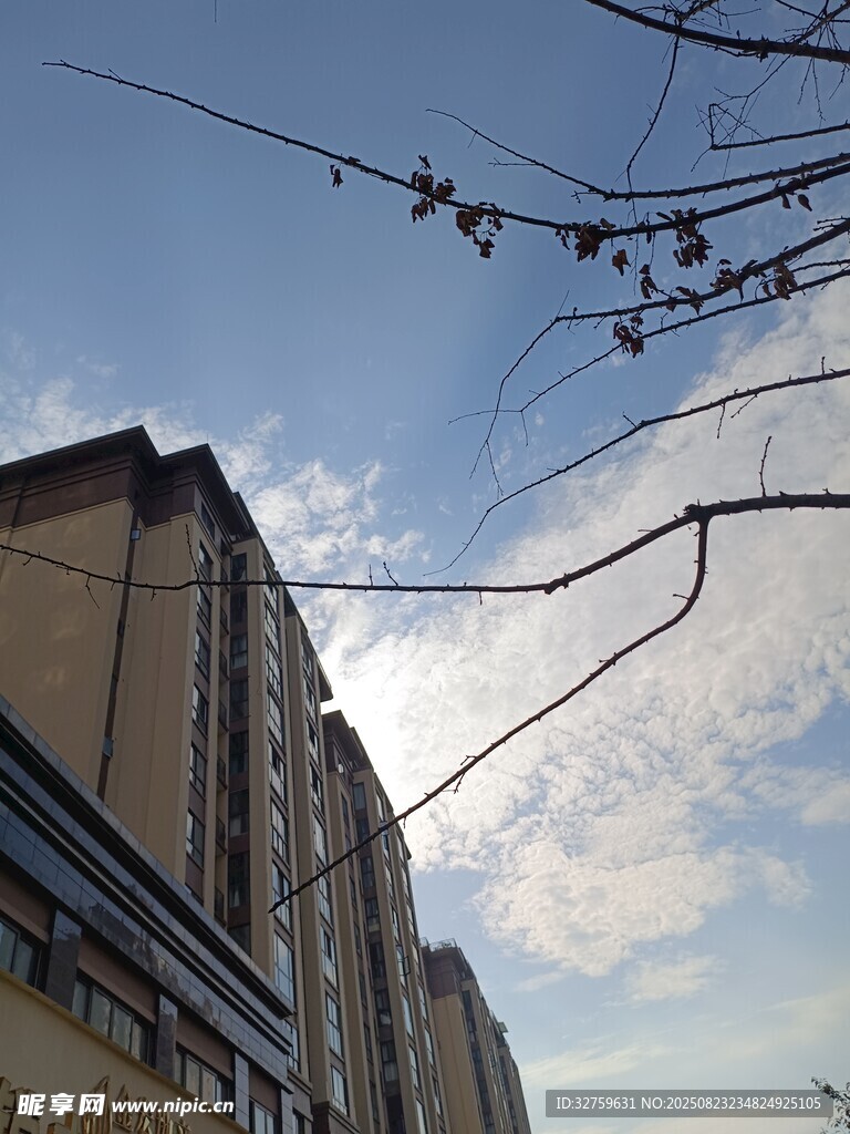 城市建筑与空中电线景观