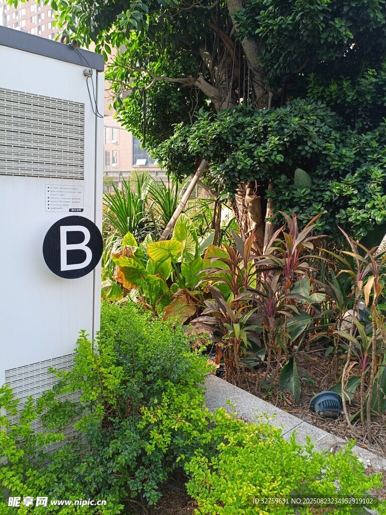 户外绿植旁的标识B