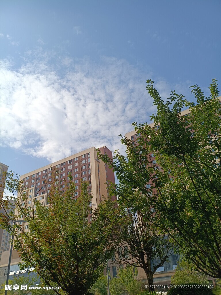 绿树掩映下的高楼