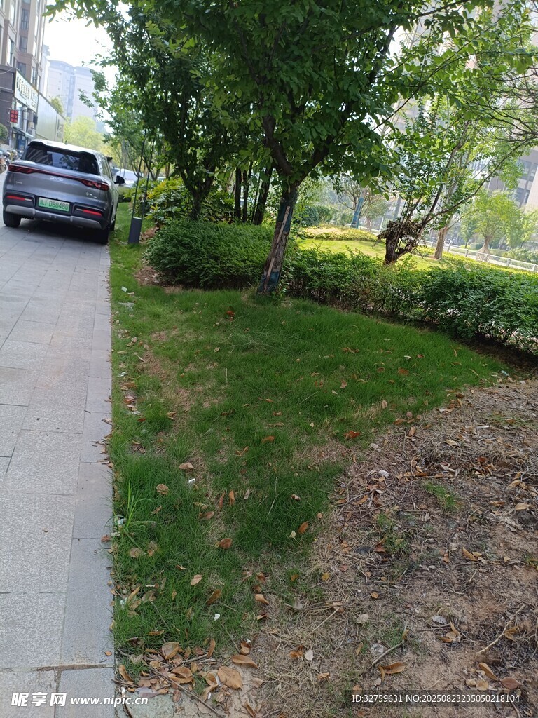住宅旁的绿化景观