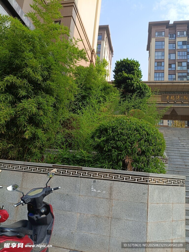 墙边绿植与停放的摩托车