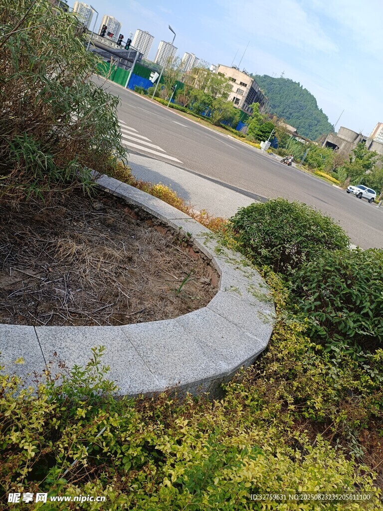 城市路边绿植景观