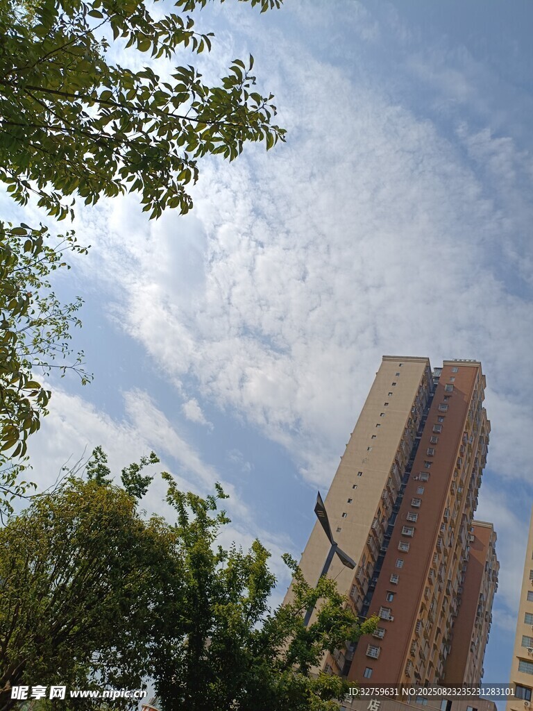 高楼与绿树间的晴朗天空