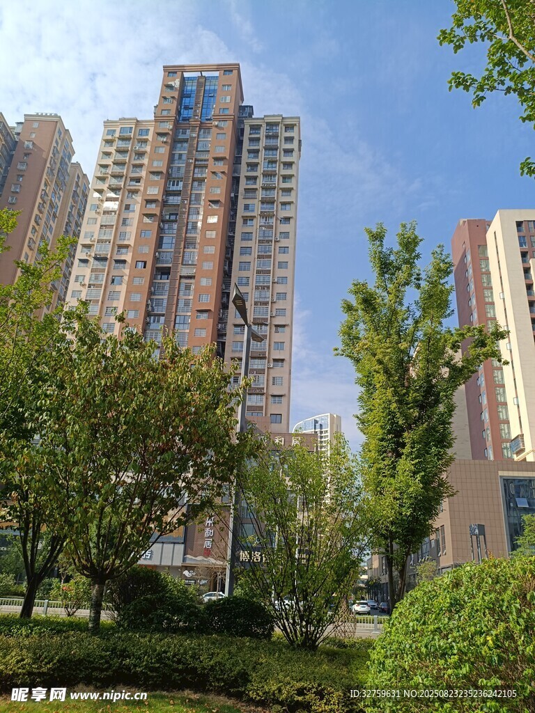 城市高楼与绿植景观