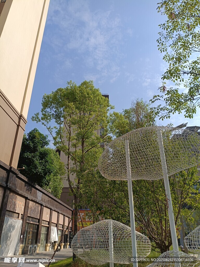 户外绿植环绕的建筑景观