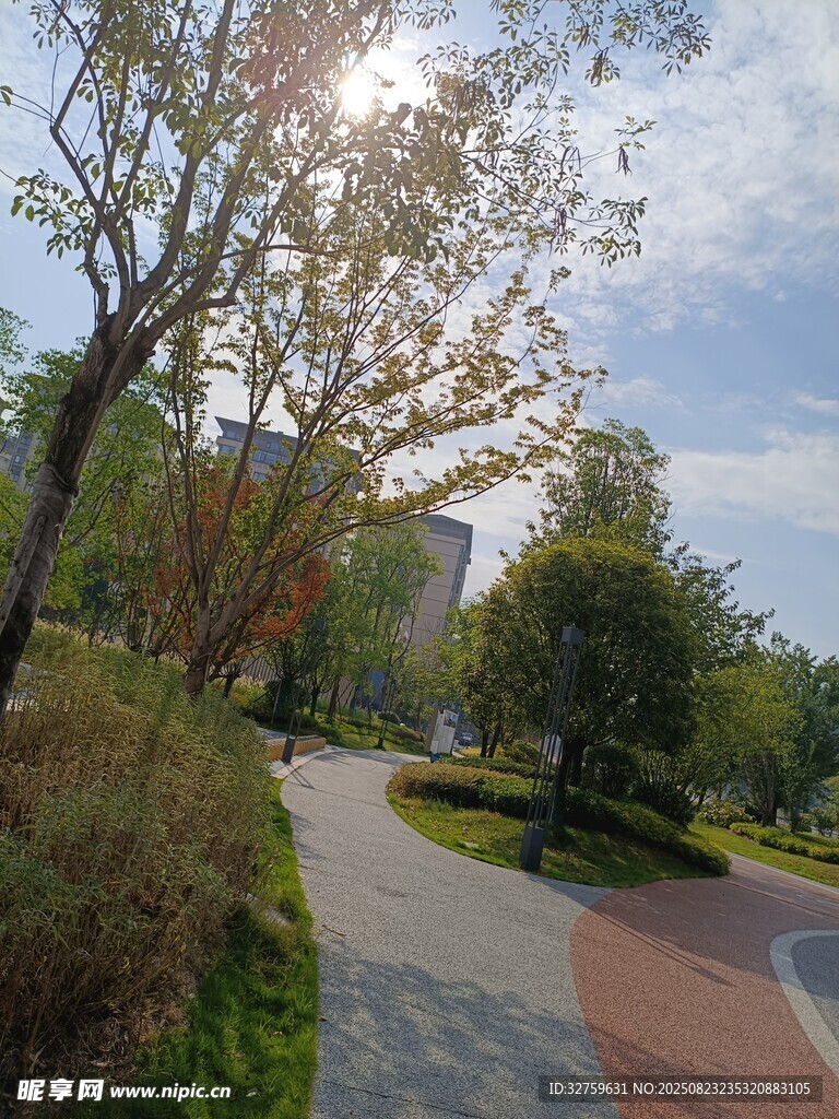 公园中的多彩小径
