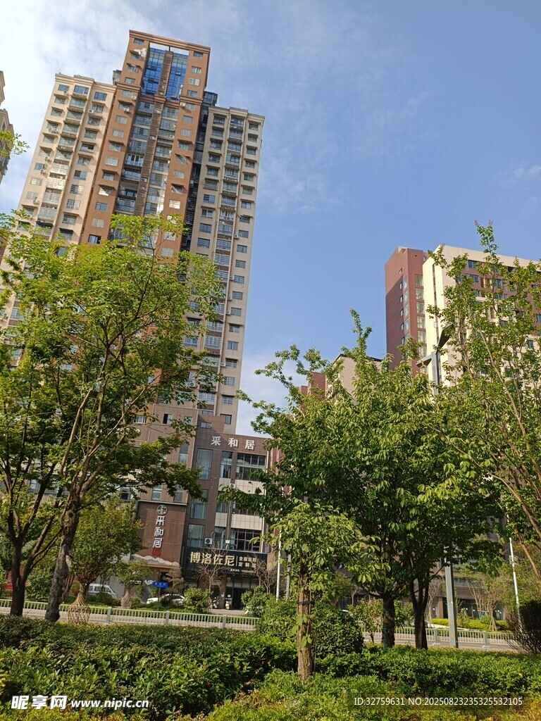 城市高楼与绿树景观