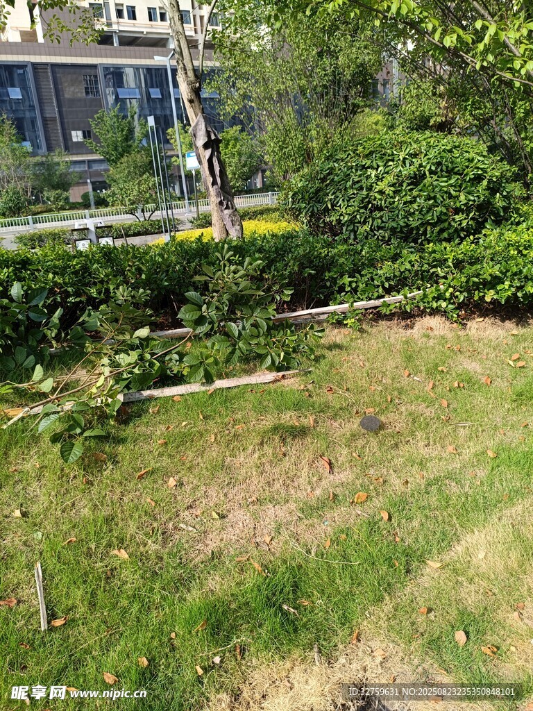 户外绿植景观