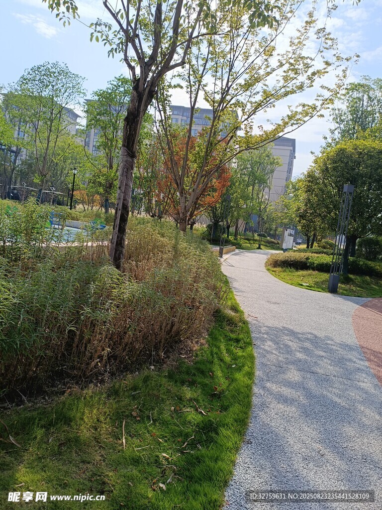 公园中的蜿蜒小径与绿植