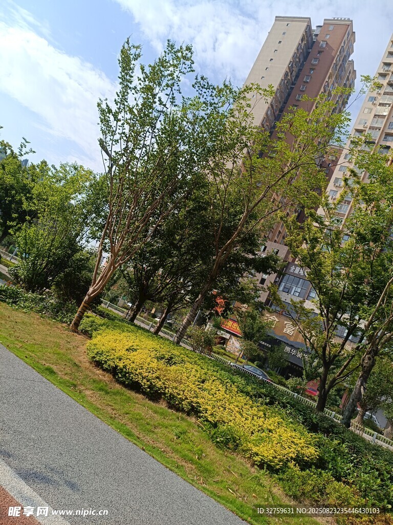 城市小区中的绿化景观