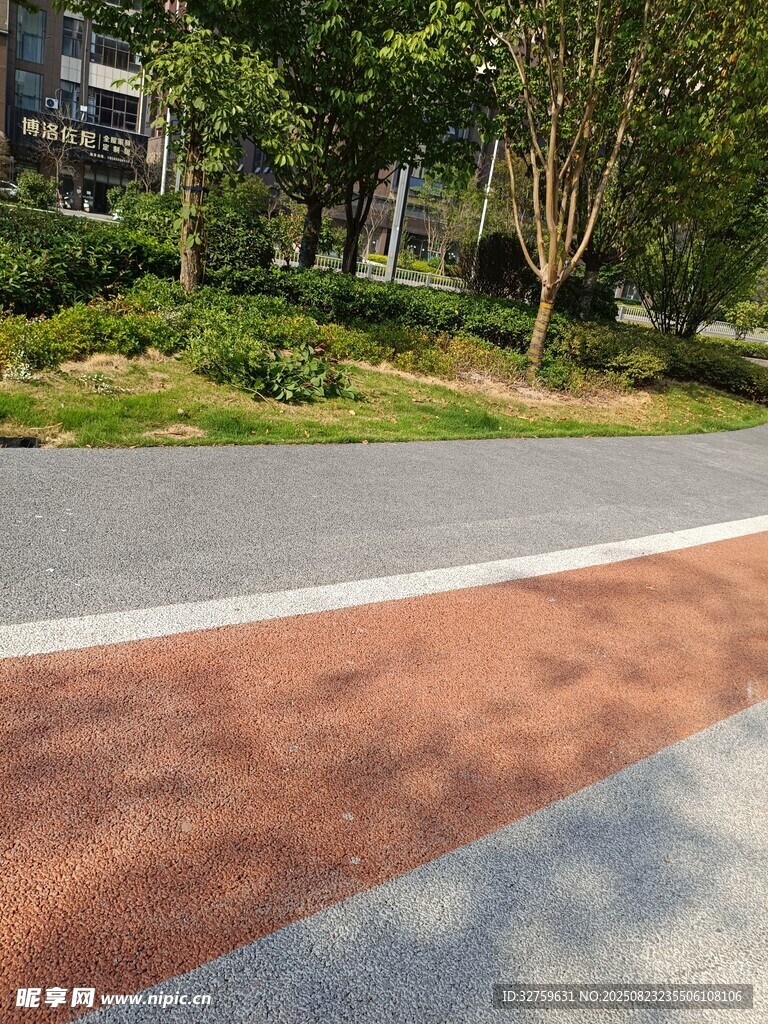 城市道路旁的绿植与步道