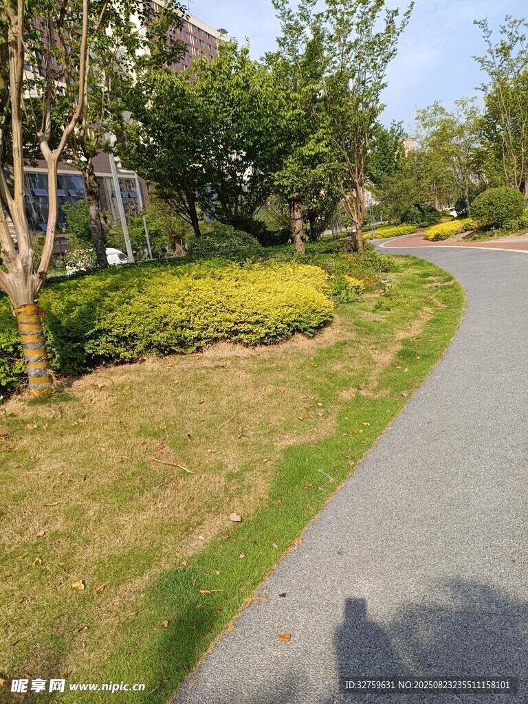 小区内的绿意小径