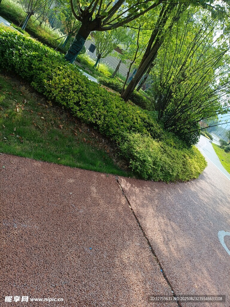 公园中整洁的步道与绿植