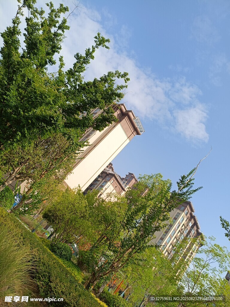 绿树环绕的现代建筑