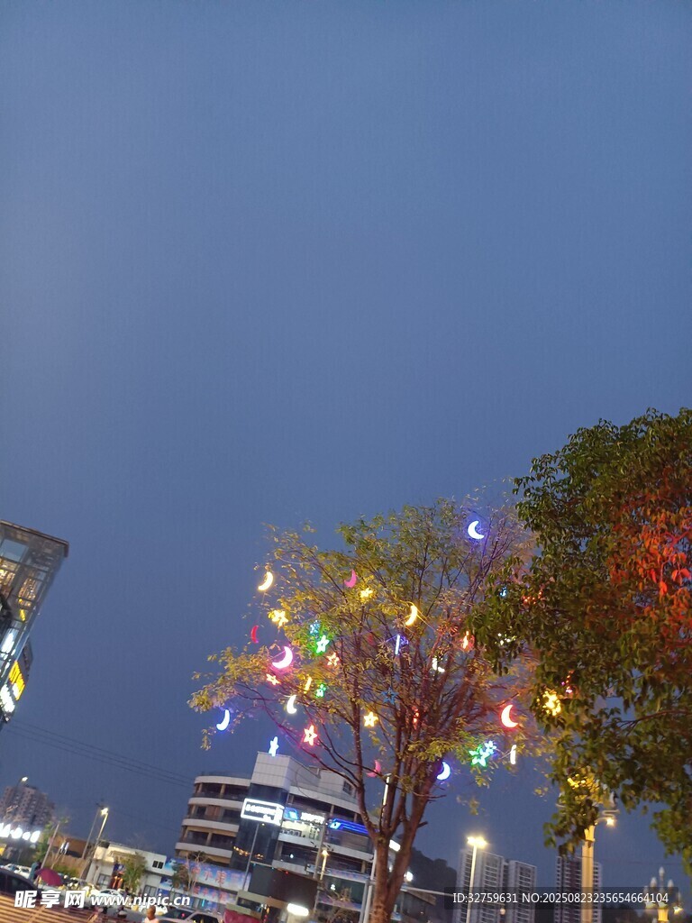夜幕下彩灯装点的树木