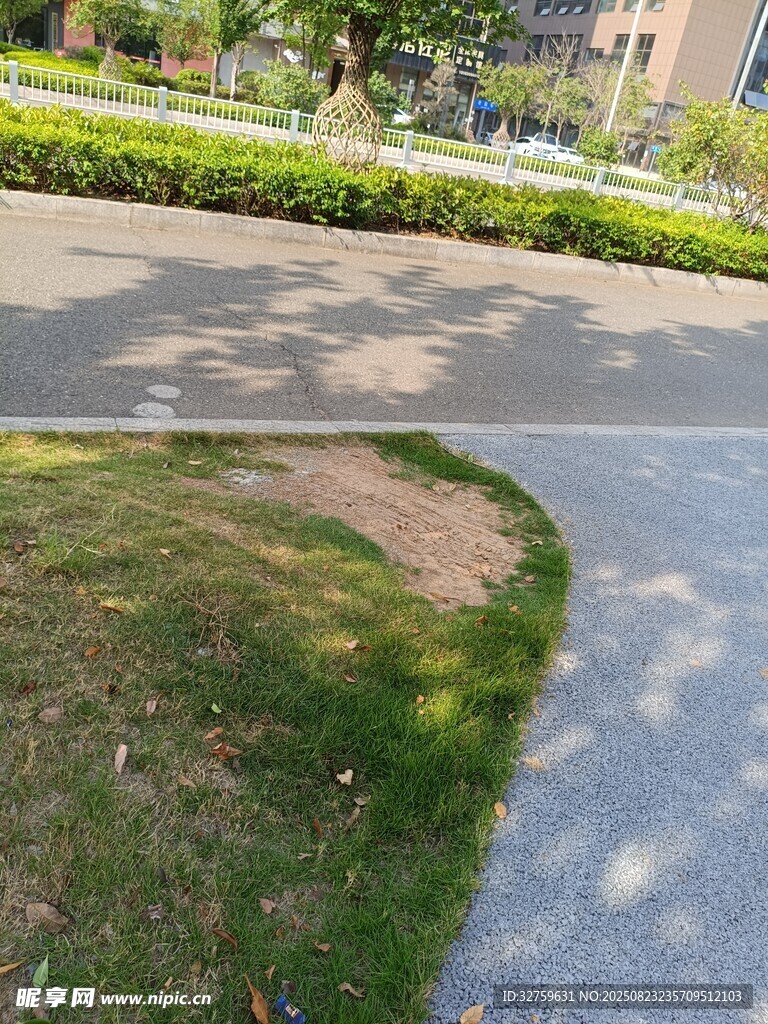 路边草地与步道景观