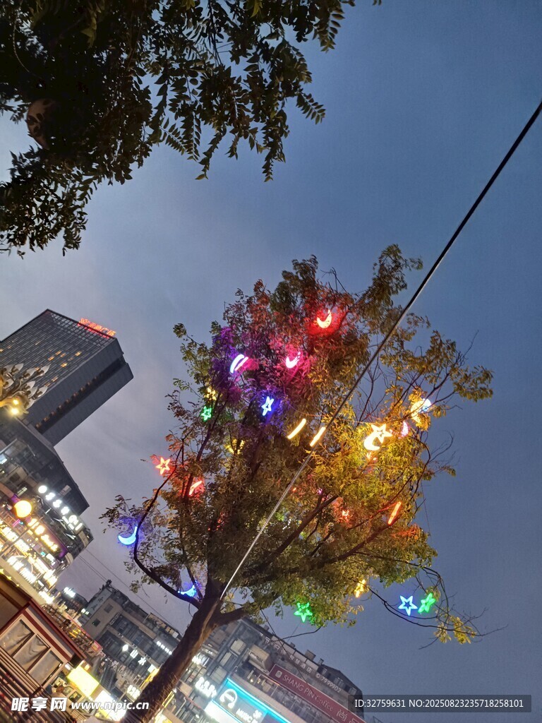 城市中点亮彩灯的绚丽树木