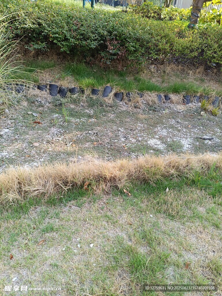 户外草地旁的石砌护坡