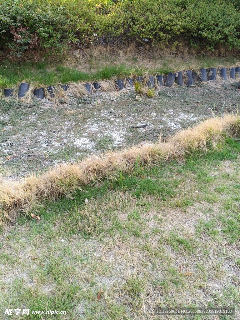 溪边草地与绿植景观